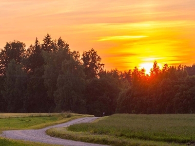 Auto24 Rally Estonia (Эстония)