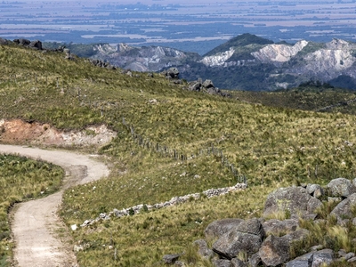 WRC ралли (Аргентина)